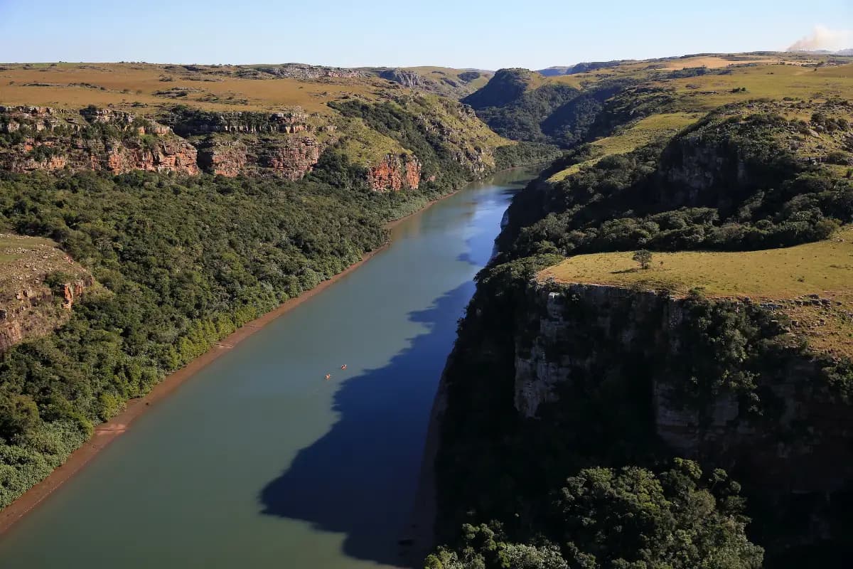 Aerial view of the deep forested river gorge at Mkambathi Nature Reserve on South Africa's Wild Coast
