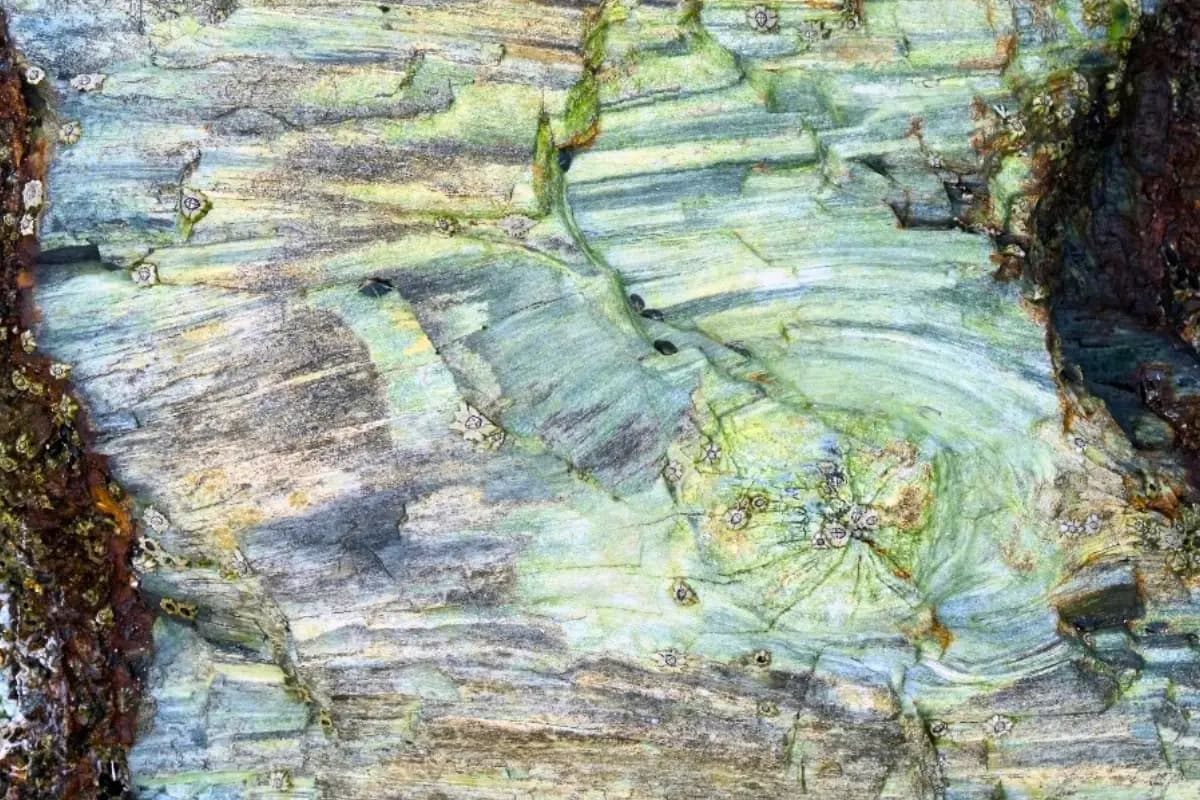 Close-up of layered striated fossil sandstone exposed at low tide at Mzamba Fossil Beds, Wild Coast South Africa
