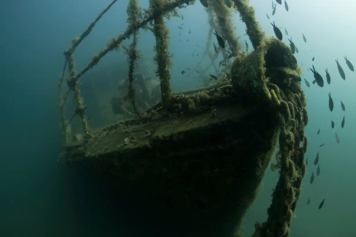 Encrusted hull of a sunken shipwreck on the Wild Coast seabed with fish swimming through the wreckage