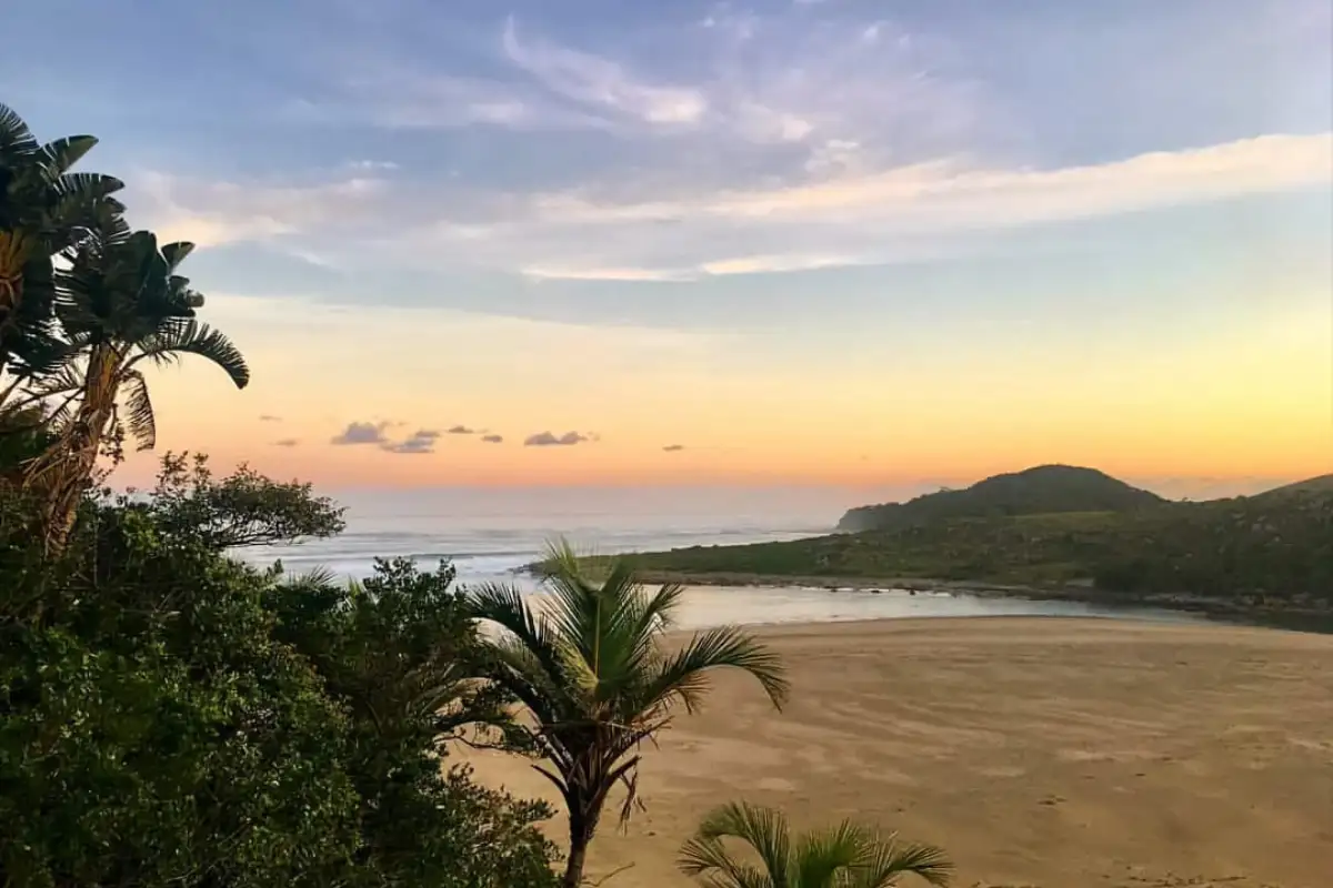Golden sunset over Mtentu beach estuary with palm trees and rolling hills on the Wild Coast Eastern Cape