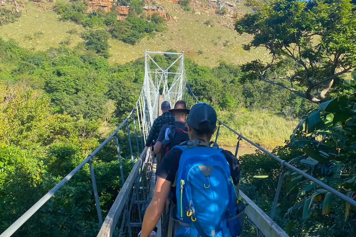 Hikers with backpacks crossing the 153-metre Mzamba suspension bridge, the inland route above a forested gorge, Wild Coast, South Africa