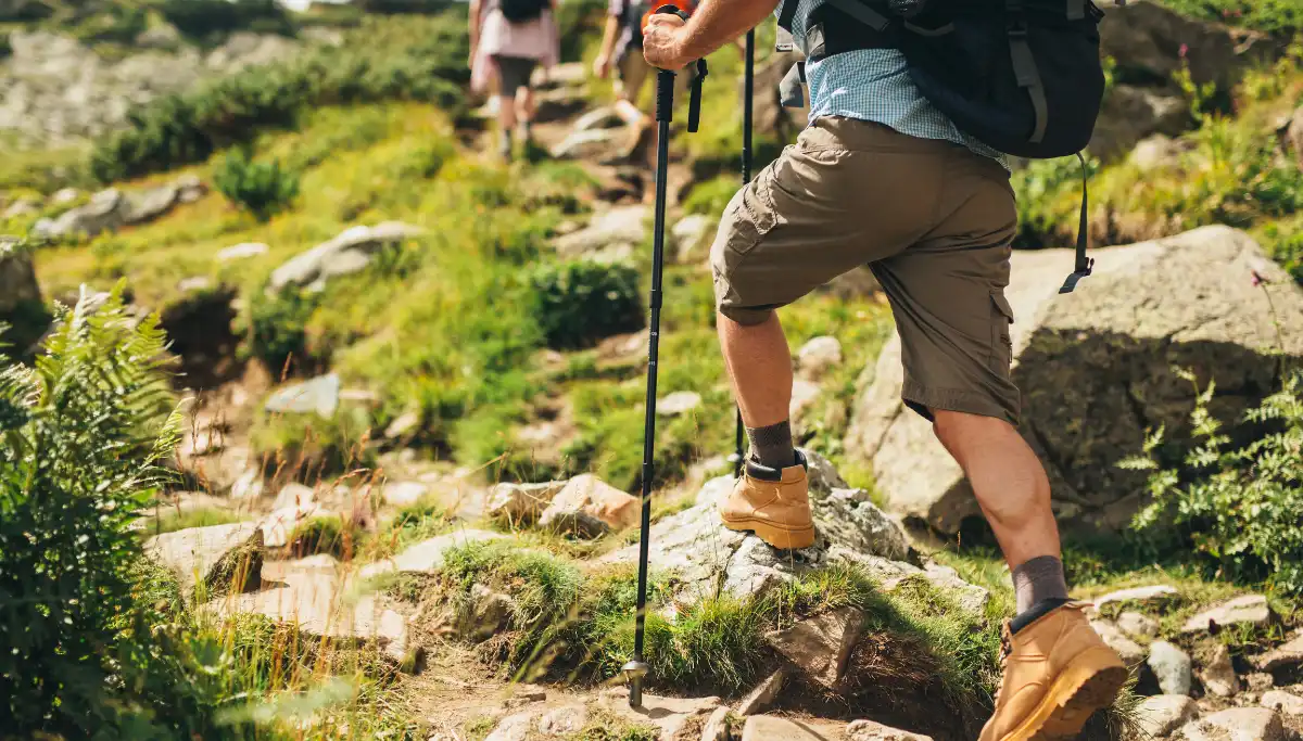 Hiker's boots and trekking poles navigating a rocky green trail on a multi-day hike in South Africa