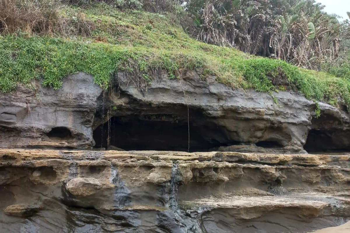 Layered sandstone cliff face with cave opening and clear sedimentary strata at Mzamba, Wild Coast South Africa
