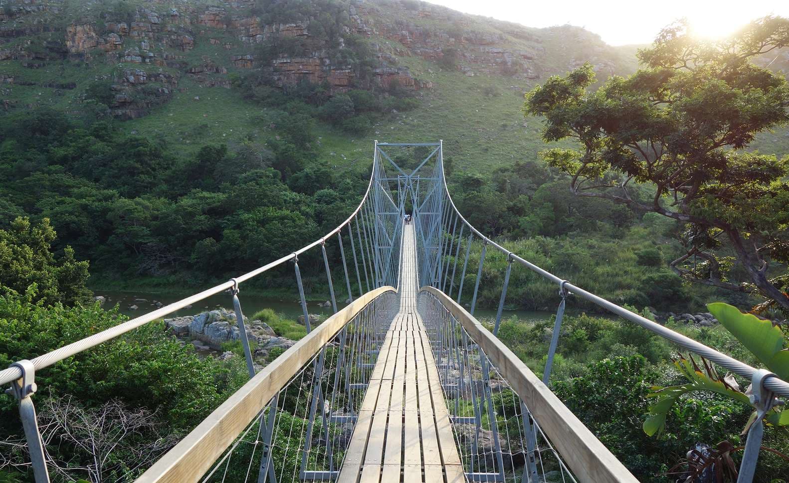 Looking down the wooden deck of the Mzamba suspension bridge, cable wires framing a lush green river gorge below