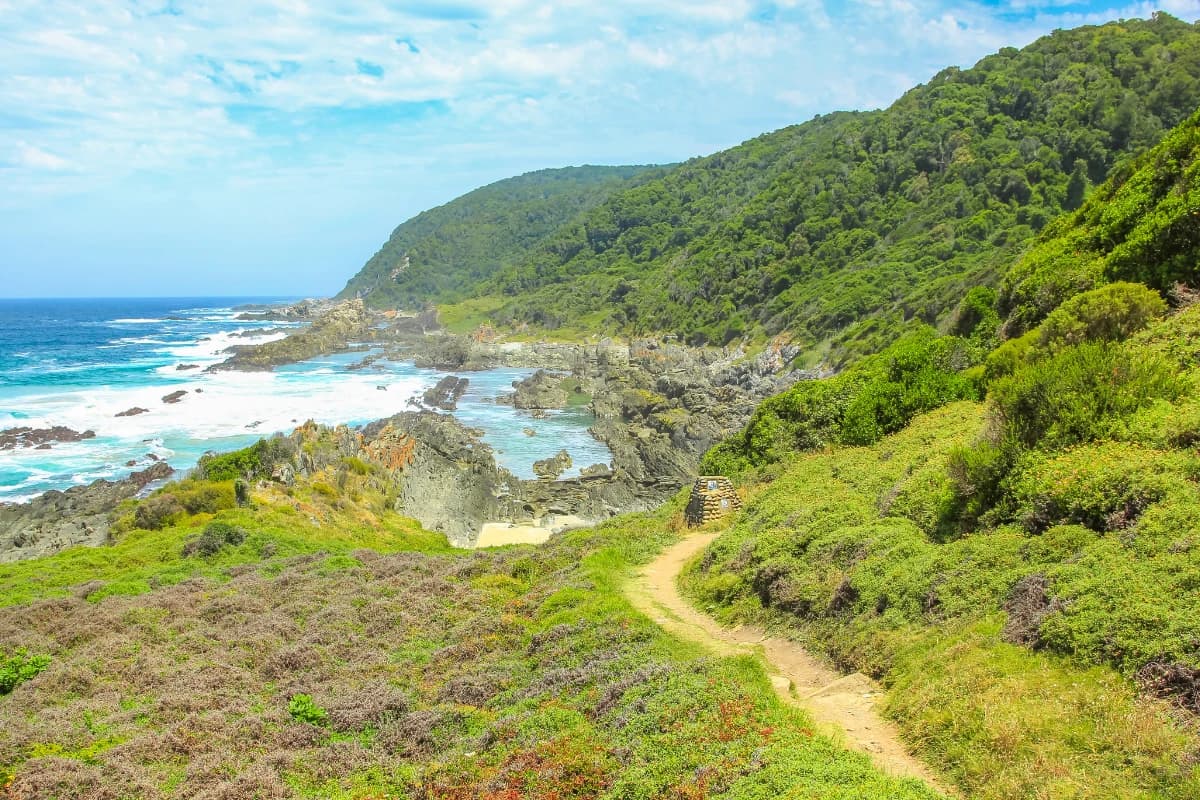 A narrow footpath winding through green coastal fynbos toward the rocky shoreline and turquoise sea on the Otter Trail, Garden Route, South Africa