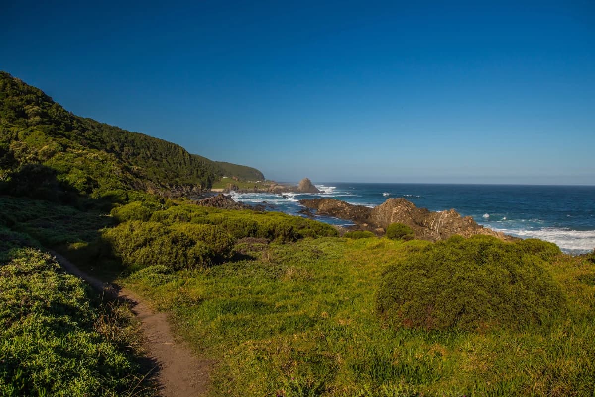A coastal footpath through green scrub above rocky headlands and the Indian Ocean on the Otter Trail, Garden Route, South Africa