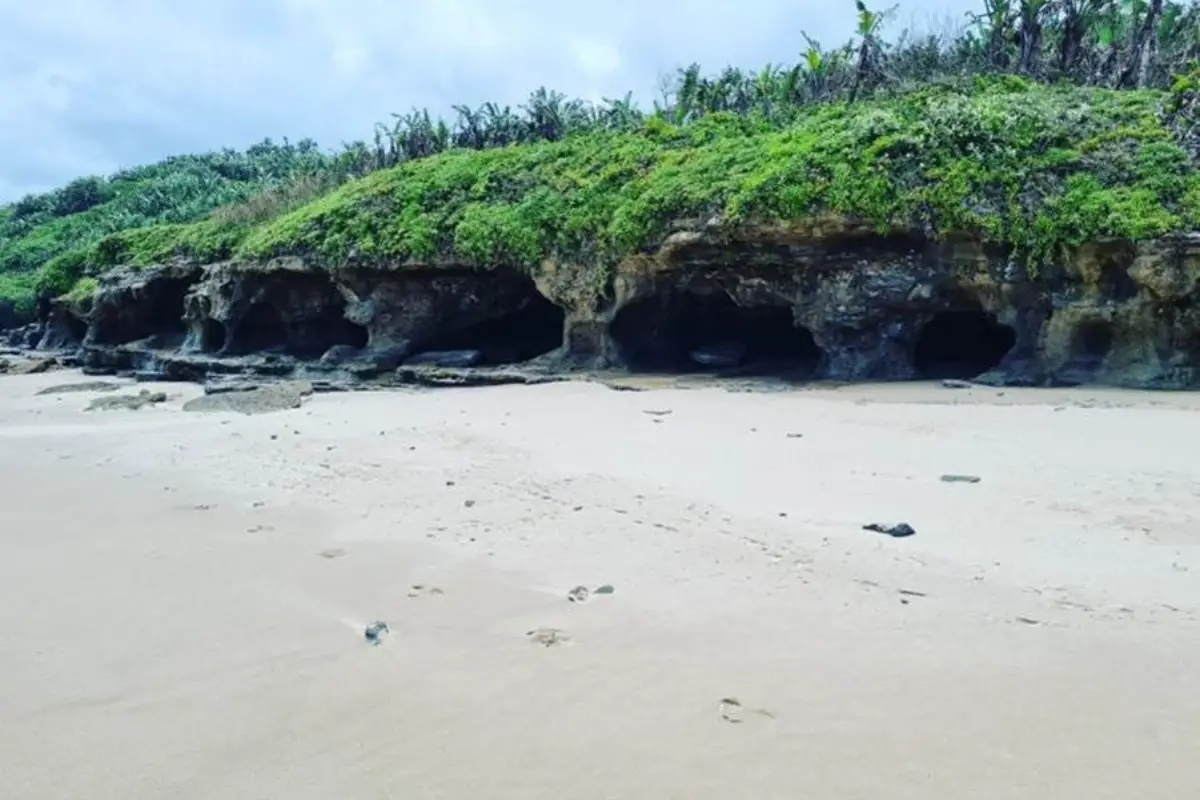 Row of cave openings known as White Man's Caves cut into low sandstone cliffs along Mzamba beach, Wild Coast South Africa