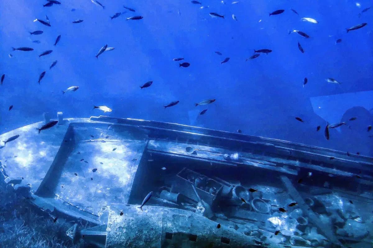 Underwater view of a sunken shipwreck on the seabed surrounded by shoals of small fish in deep blue South African coastal waters