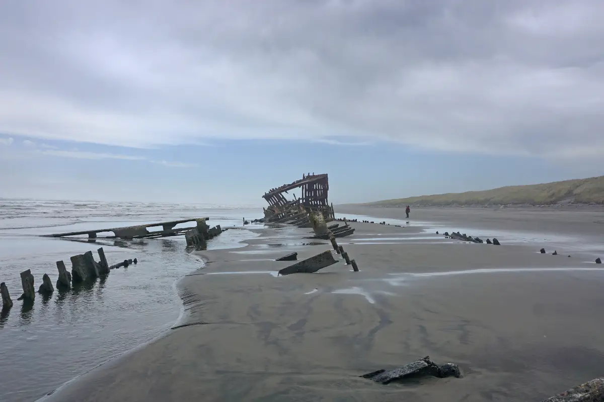 Rusted wooden shipwreck remains half-buried on a wide Wild Coast beach under an overcast sky, slowly claimed by the South African shore