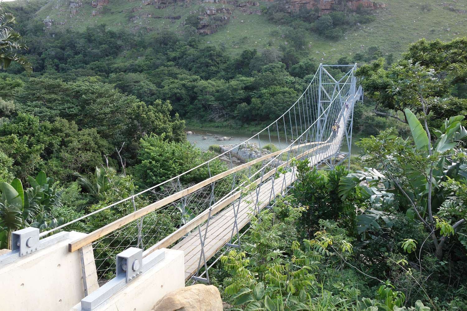 Suspension footbridge spanning a lush river gorge at Mzamba on the Wild Coast Eastern Cape South Africa