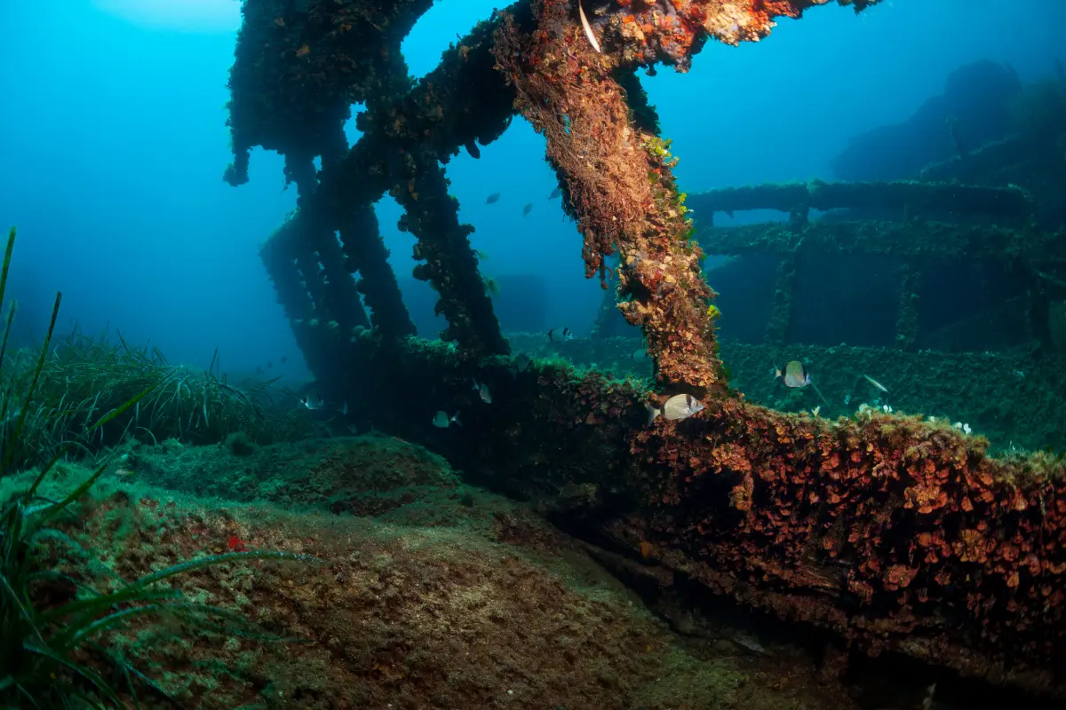 Underwater remains of a shipwreck anchor and bowsprit encrusted with coral on the Wild Coast ocean floor